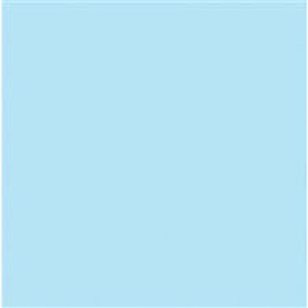 Picture of 57-008 Bristol Paper 22-1/4 x 28-1/4 Blue