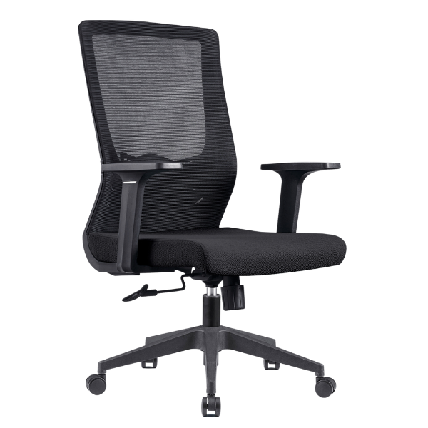 Picture of EC-5311BK Evolve Med Back Chair w/T-Arms - Black