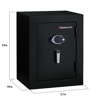 Picture of 09-040 Sentry 27.8x21.7x19 Fire/Waterproof Digital Safe #EF3428E