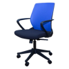 Blue Seat Back